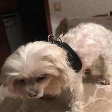 Anione hundegeschirr schwarz gebraucht kaufen  Vöhringen