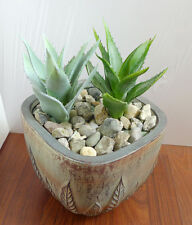 Artificial big thorn for sale  Indianapolis