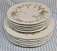 Haviland limoges dinner for sale  Keene