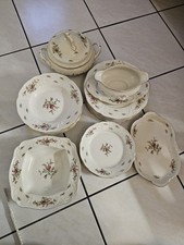 Speiseservice rosenthal classi gebraucht kaufen  Marktrodach