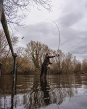 Canne pêche rods d'occasion  Expédié en France