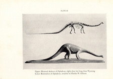 1938 vtg dinosaur for sale  Paris