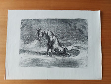 Paul weber lithographie gebraucht kaufen  Hamburg