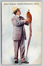 Reeves pheasant kendrick for sale  Athens