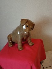 Barbotine chiot chien d'occasion  Roanne