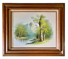 Vintage original framed for sale  Spindale