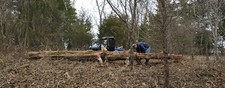 eastern red cedar lumber for sale eastern red cedar lumber for sale Carlisle