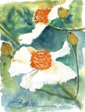 Matilija poppies signed for sale  Ventura