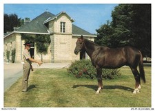 Atip7 0471 pompadour usato  Spedire a Italy