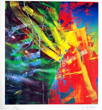 Gerhard richter litografia usato  Roma