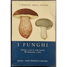 Funghi miracoli natura usato  Alessandria