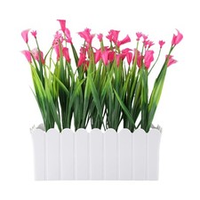Eleganti piante artificiali usato  Spedire a Italy