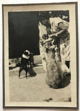 Antique photo vintage d'occasion  Expédié en Belgium