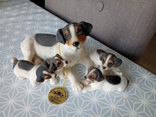 Leonardo jack russell for sale  KING'S LYNN