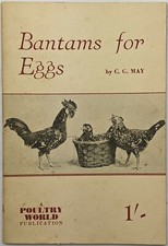 Bantams eggs may for sale  BOURNEMOUTH