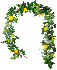 Ghirlanda limoni artificiali usato  Roma