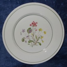 Fürstenberg blumenmotiv wiese gebraucht kaufen  Braunschweig