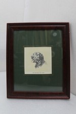 Mongrel retriever dog for sale  COLCHESTER