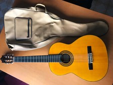 chitarra suzuki usato  Roma