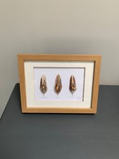 Beautiful hand painted for sale  BURY ST. EDMUNDS