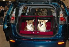 Car shelter gebraucht kaufen  Möttingen