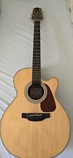Takamine serie akustische gebraucht kaufen  Hamburg