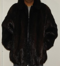 Men damselle beaver for sale  South Ozone Park