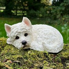 West highland terrier for sale  PRESTON