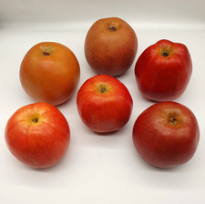 Large artificial apple for sale  GUILDFORD