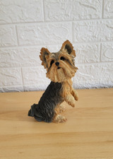 Yorkshire terrier yorkie for sale  BOSTON