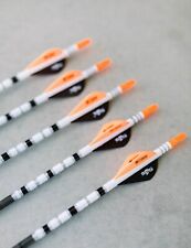 Custom arrows for sale  Mendota