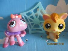Petshop duo chauve d'occasion  Bailleul