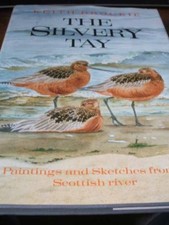Silvery tay paintings for sale  UK