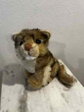 2000 wolf cub for sale  Brookfield
