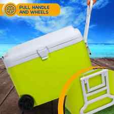 50l insulated picnic for sale  MANCHESTER