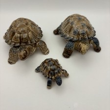 Wade whimsies tortoise for sale  WESTHILL