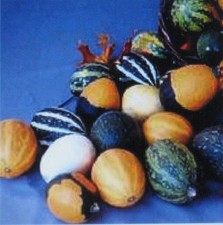Gourds seeds large for sale  Buchanan