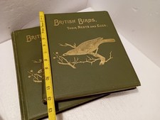 British birds nests for sale  DEREHAM