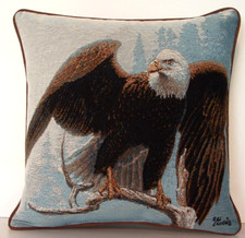 Eagle american bald for sale  College Grove