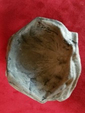 Repti rock gray for sale  Louisville