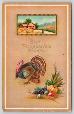 Holiday best thanksgiving for sale  Newton