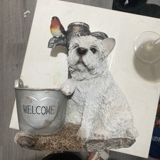 Cairn terrier westie for sale  HARLOW
