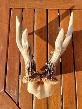 Tisch deko set gebraucht kaufen Tisch deko set gebraucht kaufen  Hoya