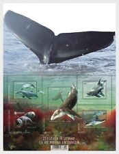 Belgium 2017 sealife usato  Lugo