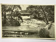 Tree bridge lossie for sale  WORKINGTON