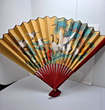 Giant asian shandong for sale  Verona