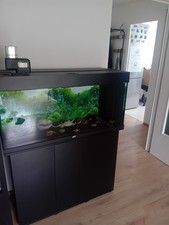 Juwel rio 180 gebraucht kaufen  Waiblingen
