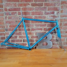 custom fixie bike for sale  Saint Louis