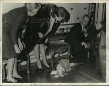 1966 press photo for sale  Memphis