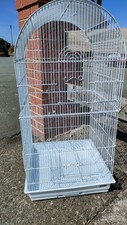 Bird cage budgies for sale  SHREWSBURY